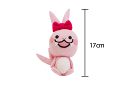 プレゼント画像