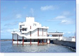 寺泊水族館 観光スポット 長岡市 なじらぼ 寺泊水族館 観光スポット 長岡市 なじらぼ