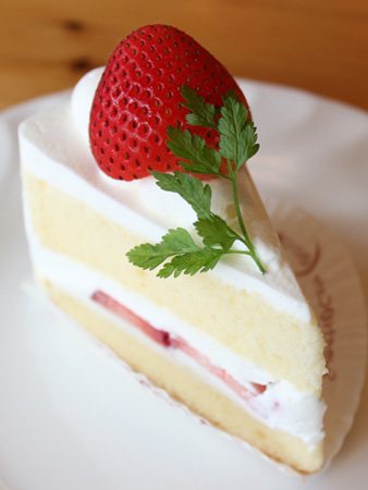 甘さが控えめでペロリと完食 スイーツマニア スウィーツ カフェ Corazon 洋菓子 小千谷市 なじらぼ 甘さが控えめでペロリと完食 スイーツマニア スウィーツ カフェ Corazon 洋菓子 小千谷市 なじらぼ
