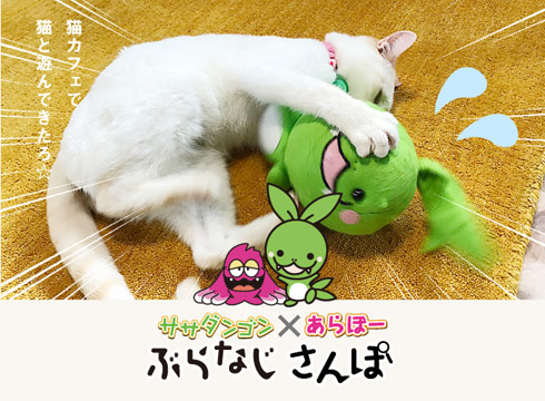 ぶらなじさんぽ