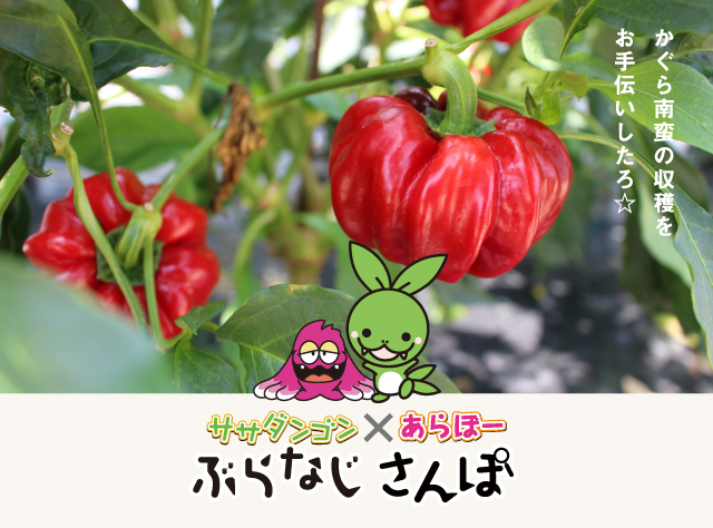 ぶらなじさんぽ