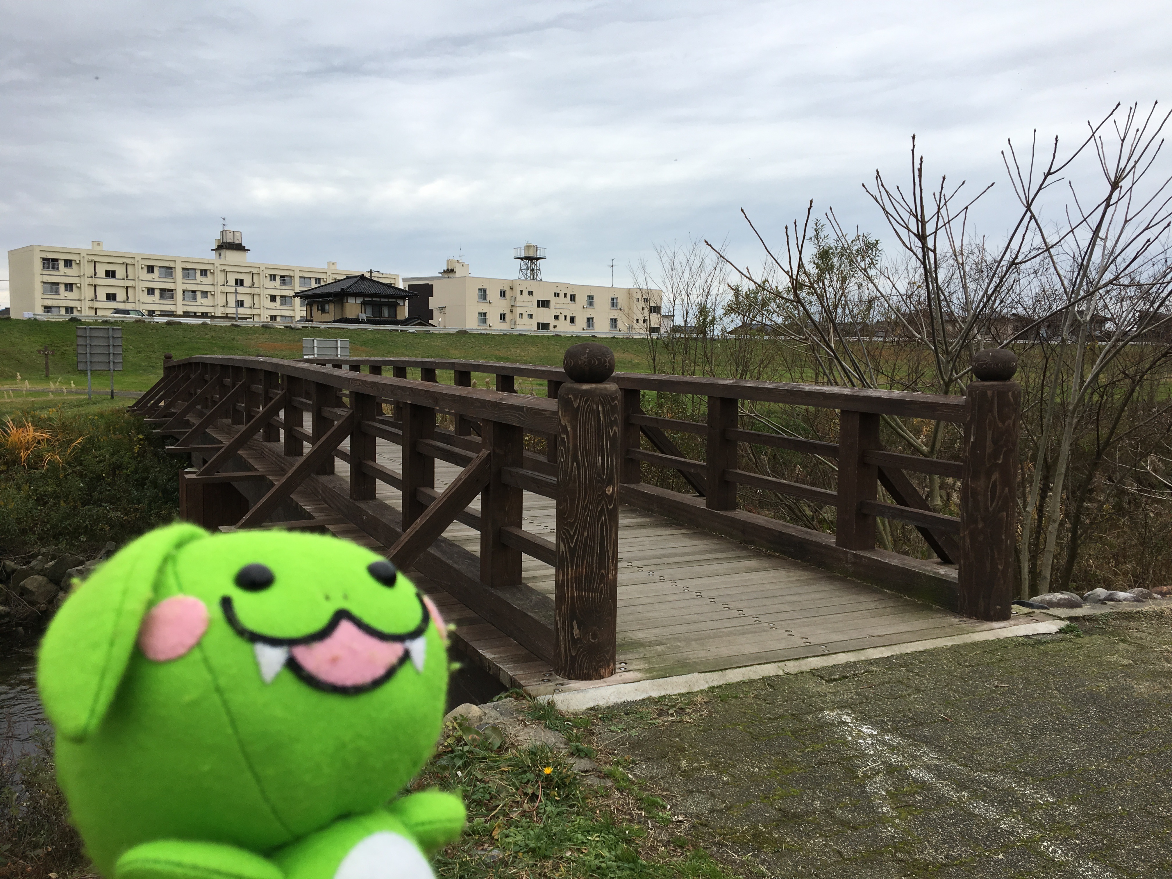 村上の川で遡上した鮭に会ってきたろ☆～種川～ | ぶらなじさんぽ - なじらぼ！