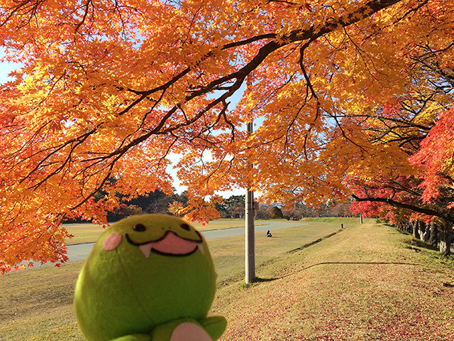 村松公園