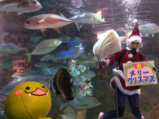 寺泊水族博物館