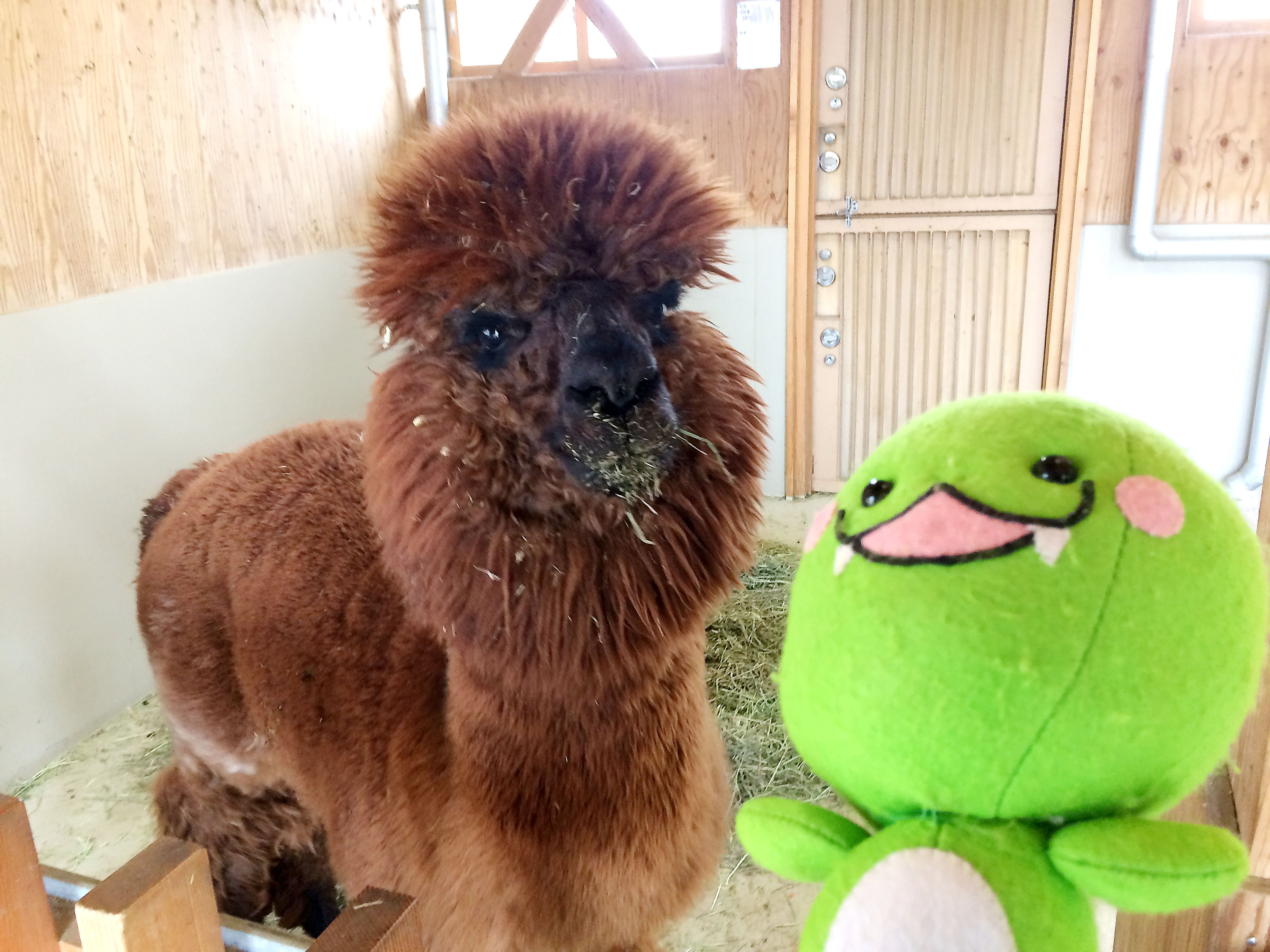 いろんな動物たちと遊んできたろ