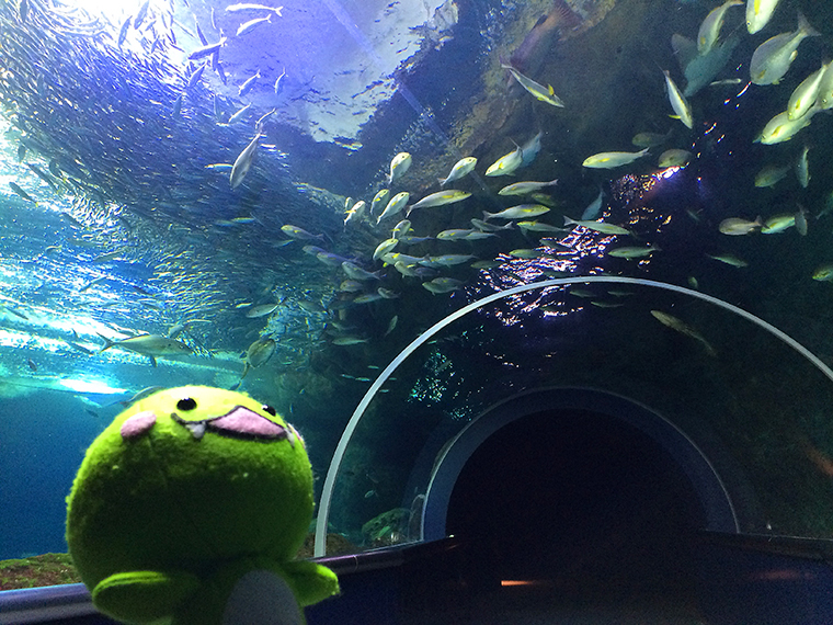 新潟市水族館 マリンピア日本海