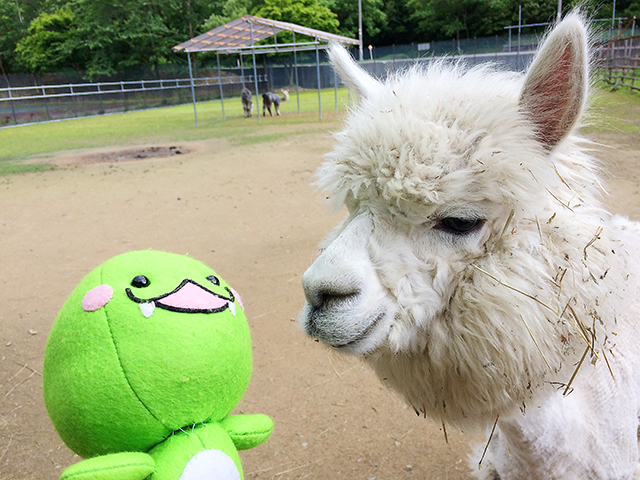 樽ヶ橋遊園