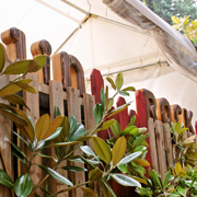 木々に囲まれる会場